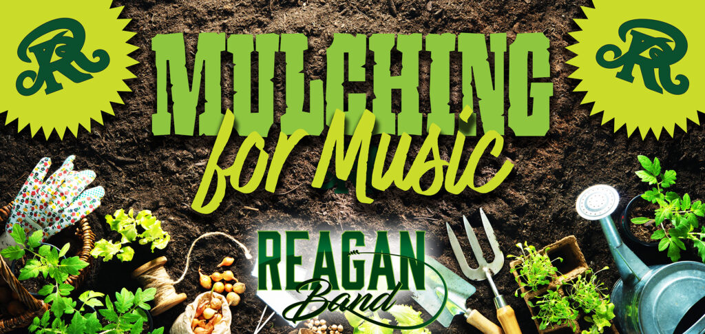 Gardening tools and seedlings on soil